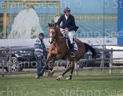 Bost Quod Coer TosTour2013- S5 2382 : Arezzo, Arezzo Equestrian Centre, Bost Roger Yves, Quod Coer de la Loge, Toscana Tour 2013, foto di Stefano Secchi ©